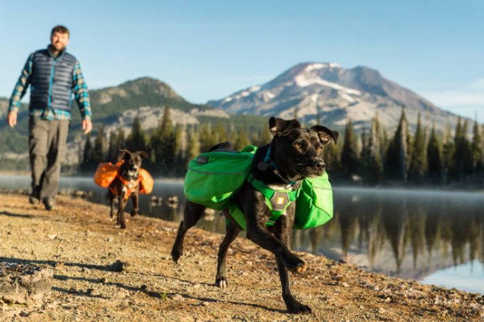 Outdoor Adventures: Gear for Camping and Hiking