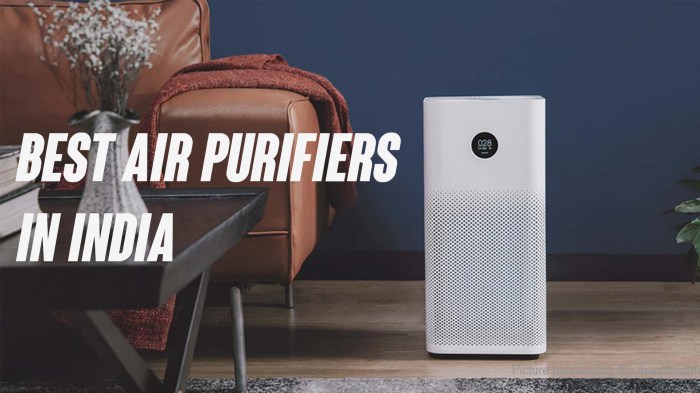 Home Air Quality: Purifiers and Humidifiers for Better Breathing