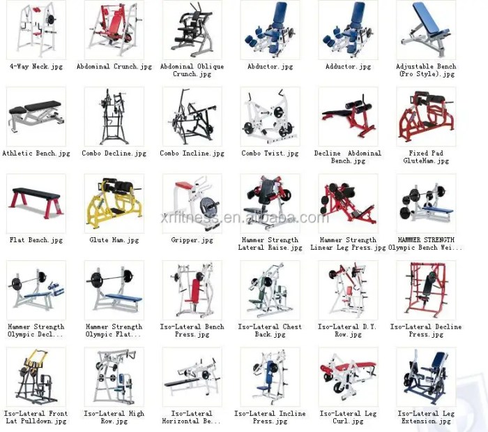 Gym plan Gym plan