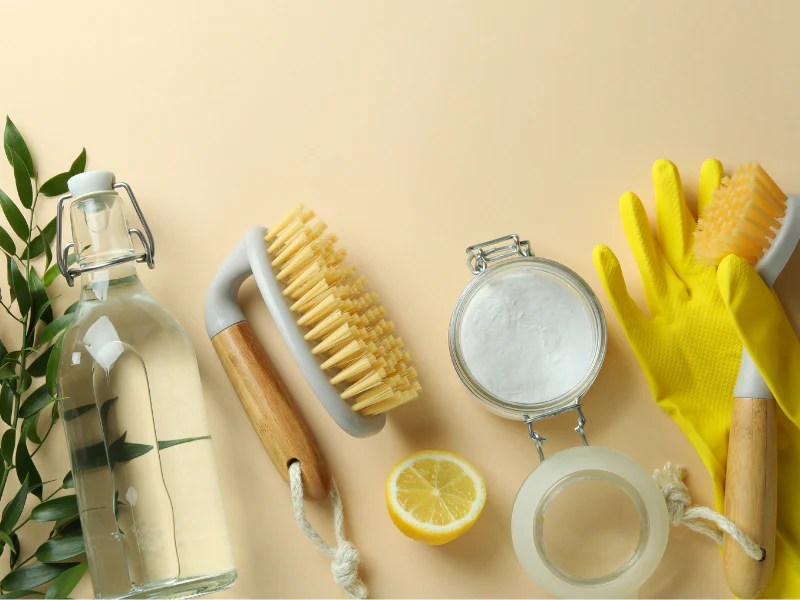 Aromatherapy Adventures: Diffusers and Essential Oils