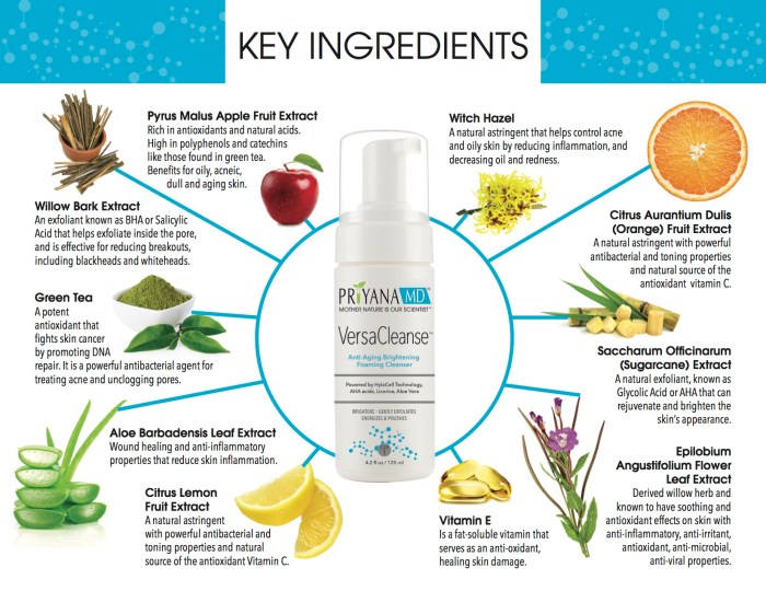 The Science of Serums: Understanding Key Ingredients