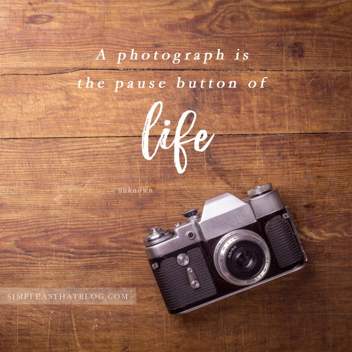 Capturing Memories: The Best Cameras for Every Skill Level