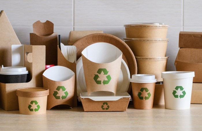 Sustainable Living: Eco-Friendly Products for Your Home