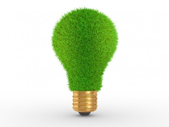 The Best Eco-Friendly Products for Everyday Life
